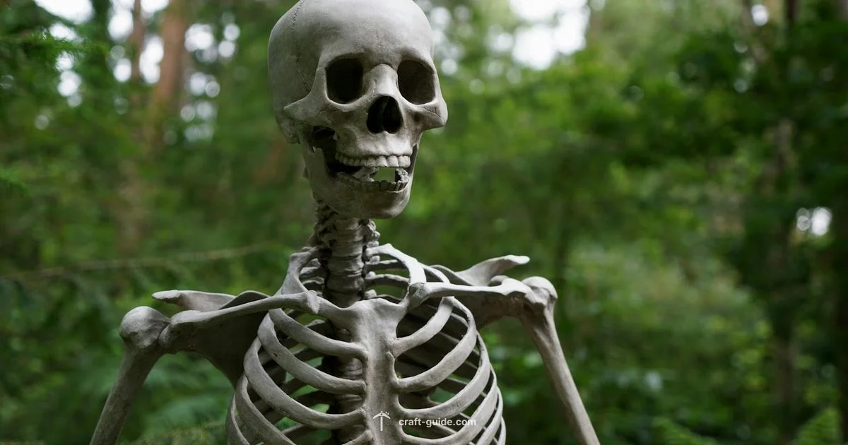 Wither Skeleton Guide - Craft Guide