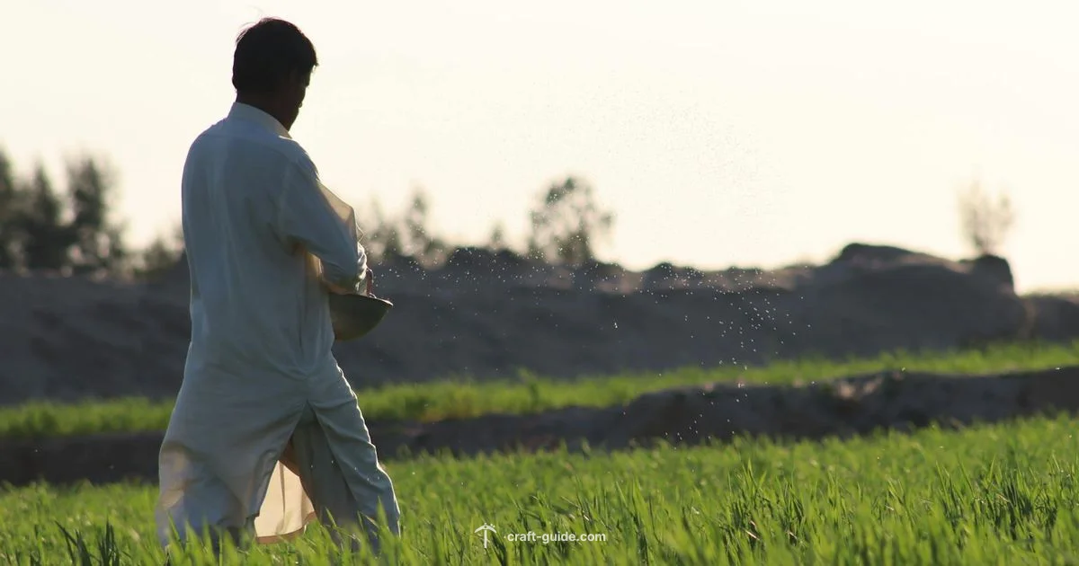 Cool Seed Guide - Craft Guide