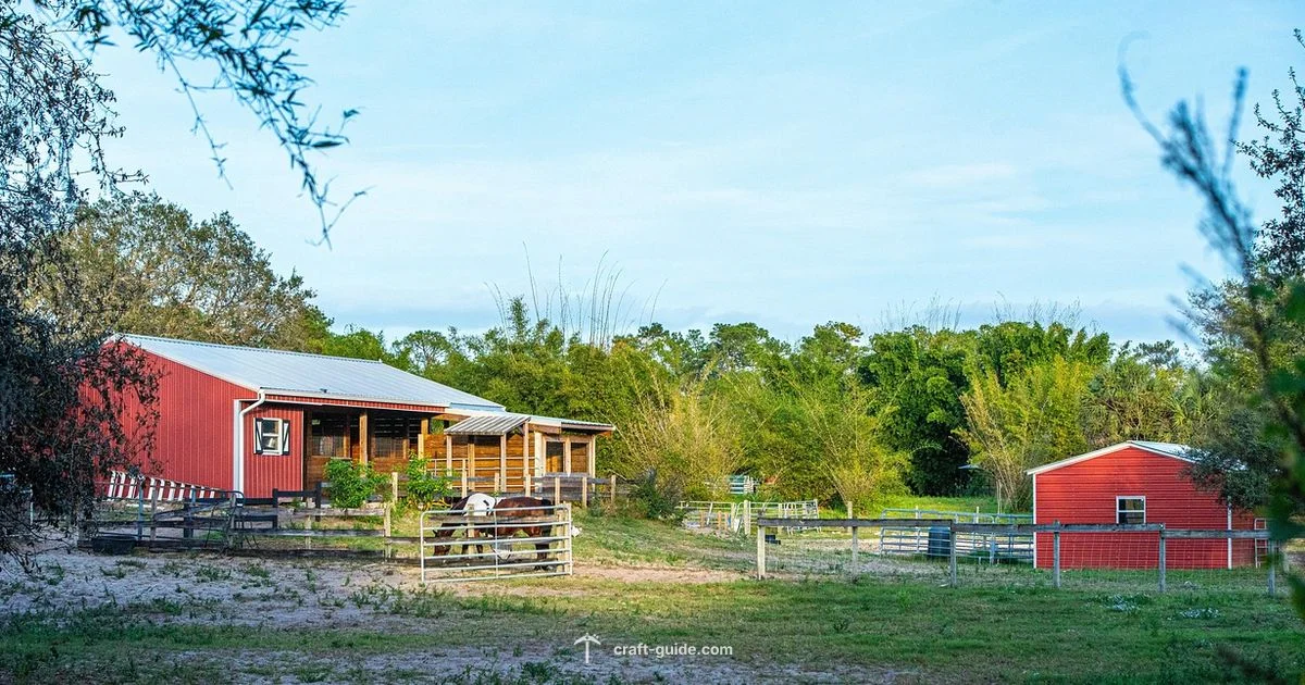 Horse Breeding Basics - Craft Guide