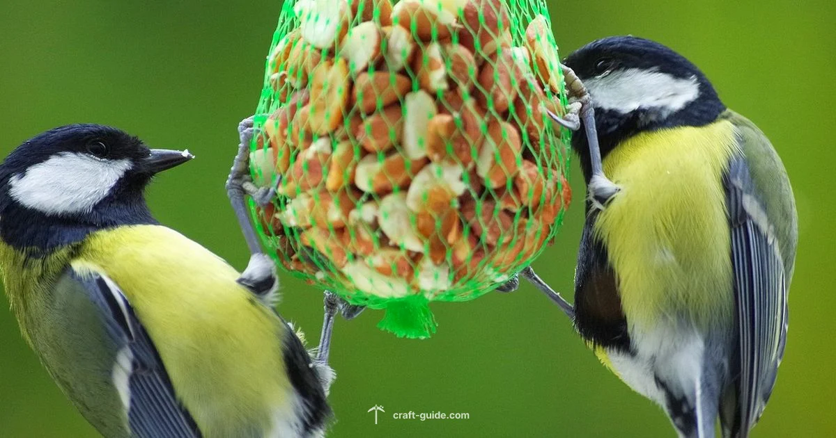 Feeding Animals - Craft Guide