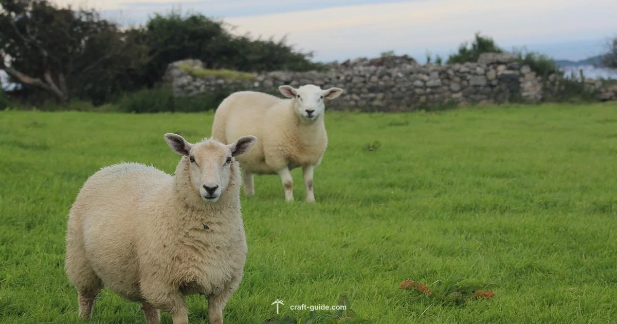 Base Ideas Gallery - Craft Guide