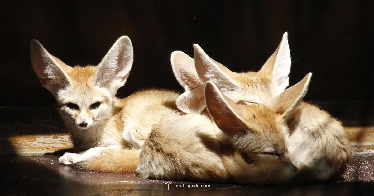 Foxes in Minecraft - Craft Guide