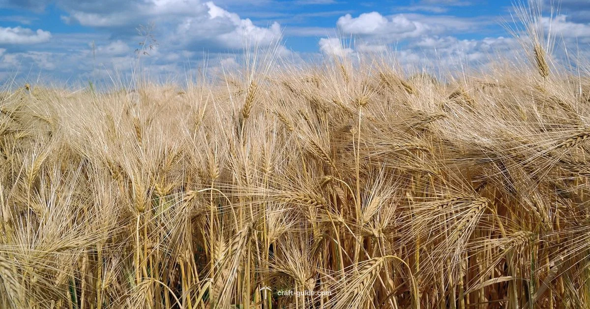 Minecraft Farmers Guide - Craft Guide