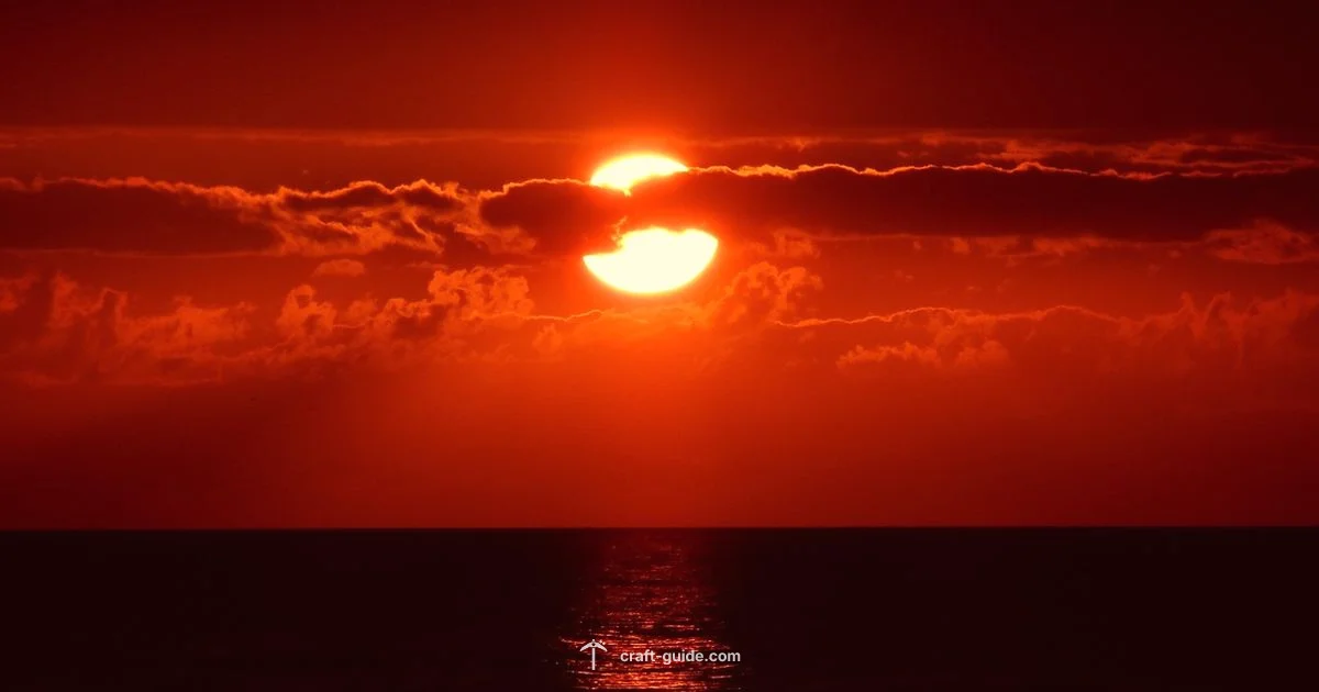 Why No Sharks Yet - Craft Guide