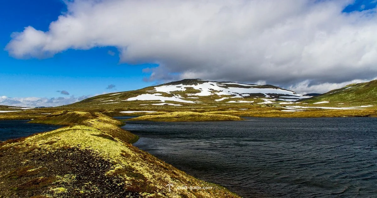 Backdrop Mastery in Minecraft - Craft Guide