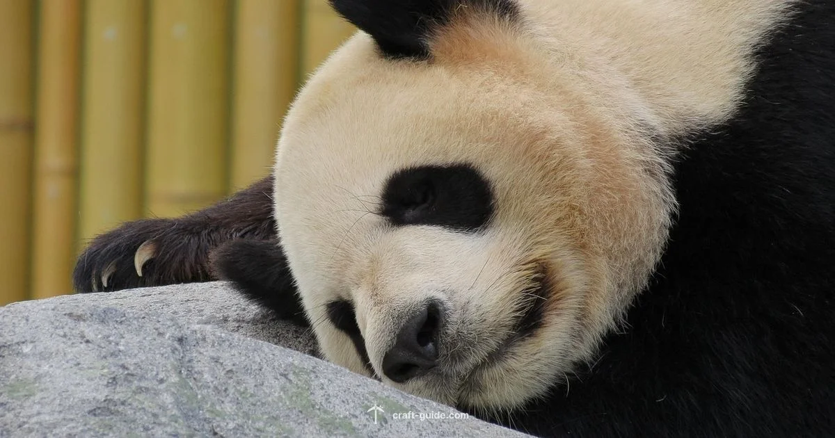 Panda Death Sound - Craft Guide