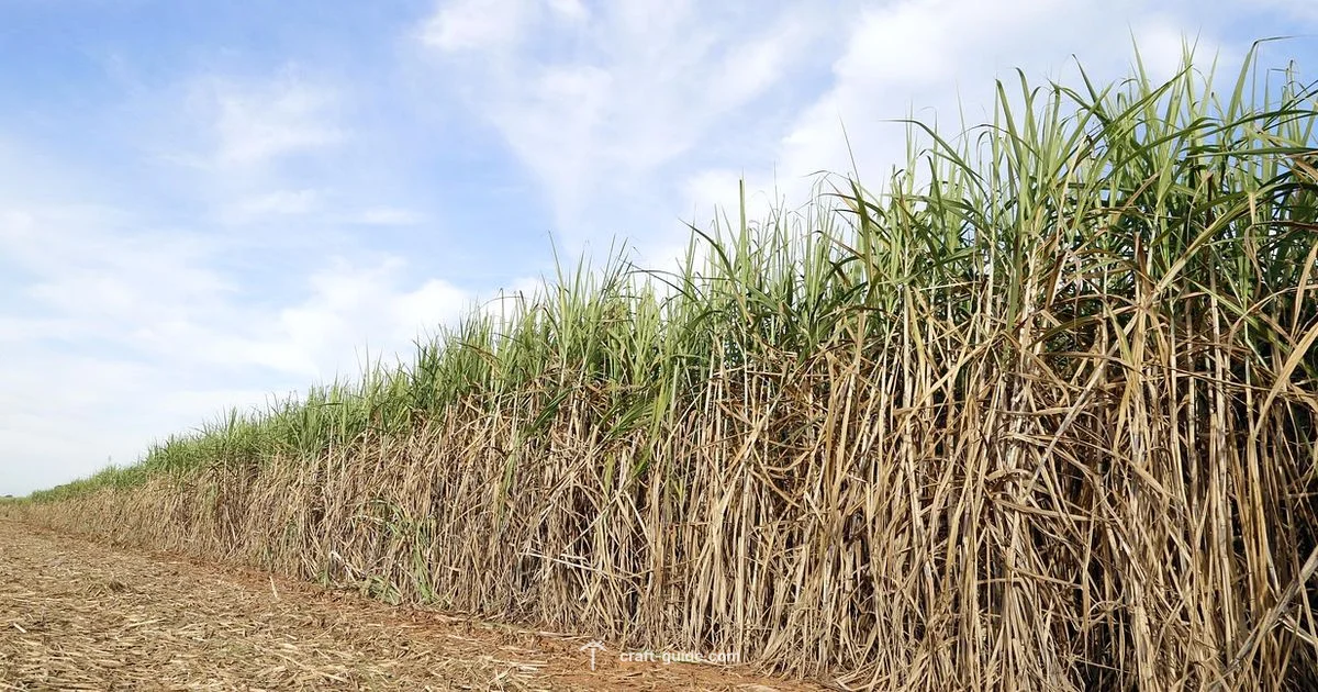 Auto Farm Build - Craft Guide