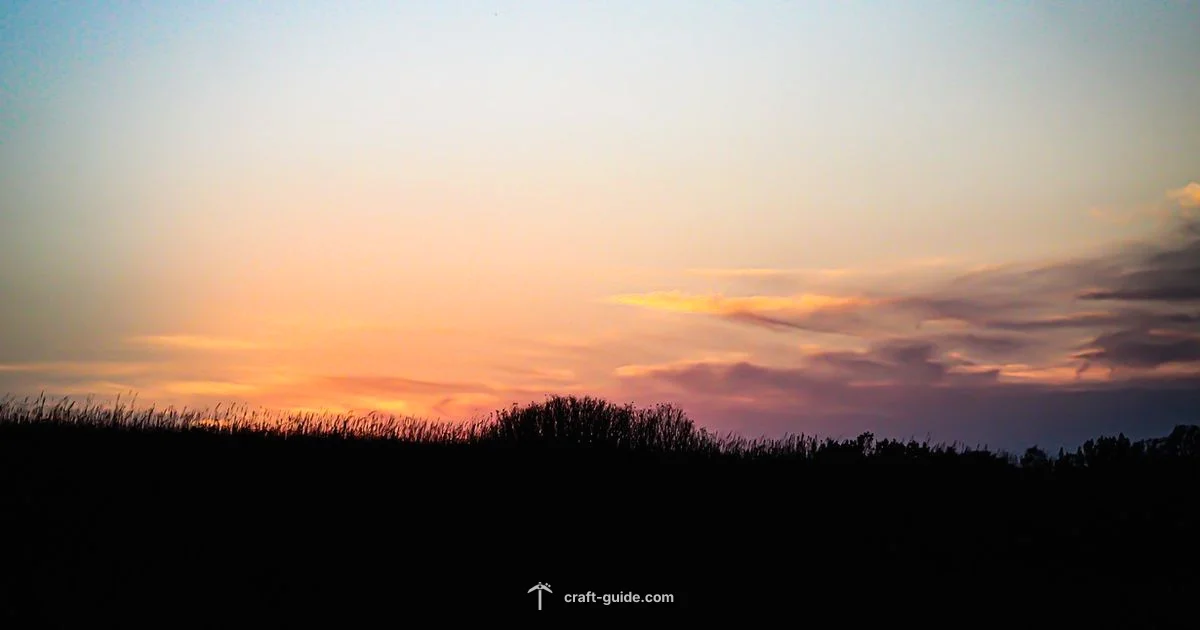 Items Despawn Guide Items Despawn Guide - Craft Guide