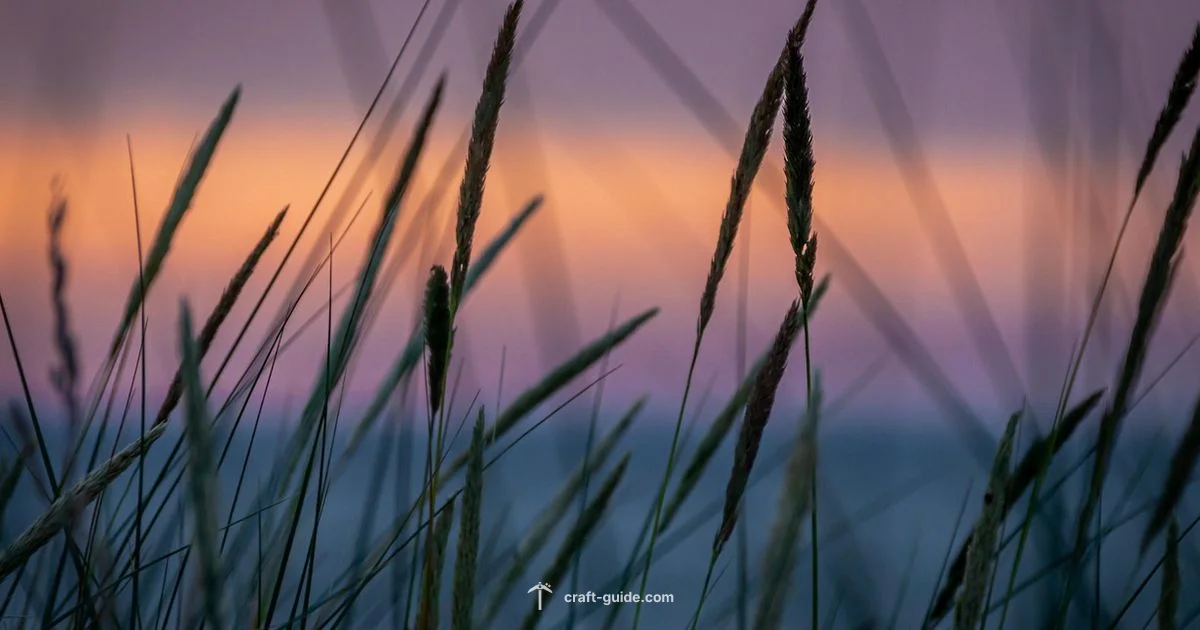 Scary Seed Guide - Craft Guide