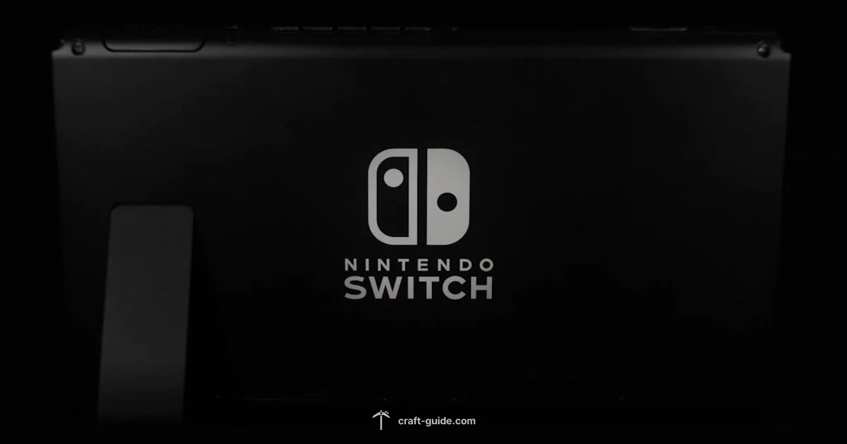 Switch Upgrade Guide - Craft Guide