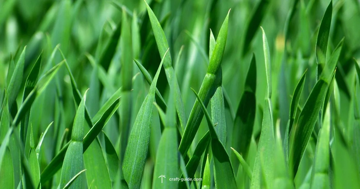 Grass in Minecraft - Craft Guide