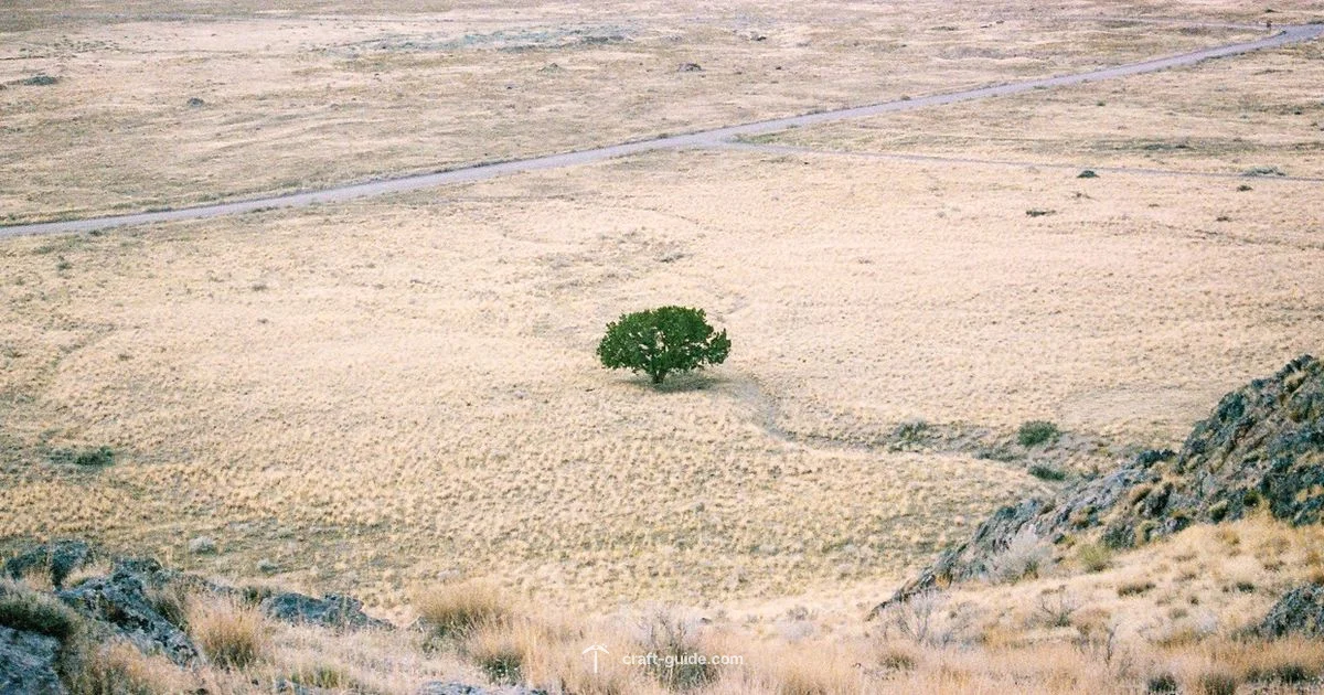 Open World Minecraft - Craft Guide