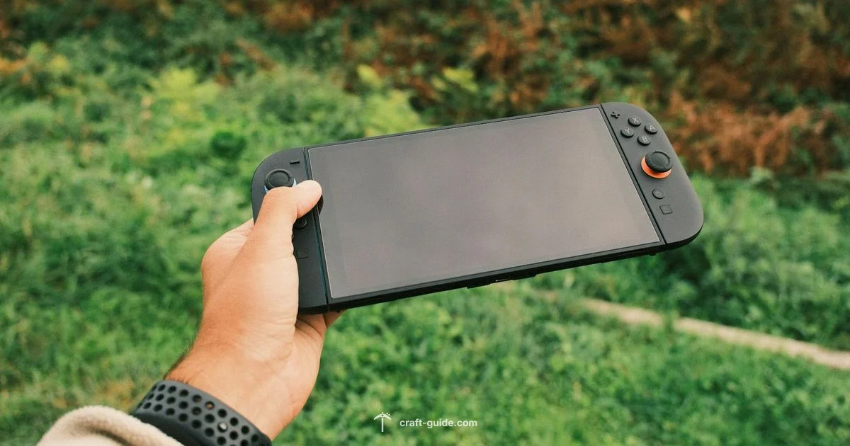 Switch Edition Review - Craft Guide