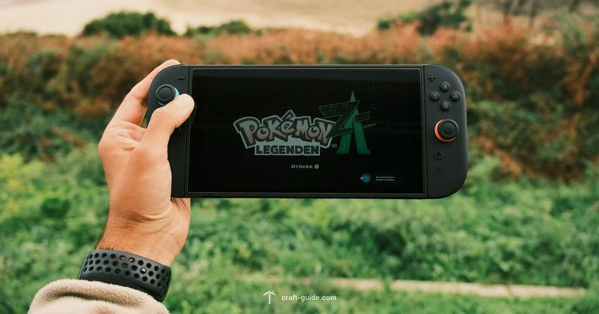 Switch Minecraft Guide