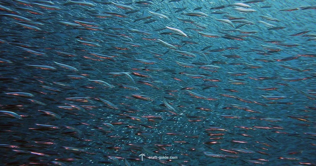 Minecraft Fish Guide - Craft Guide