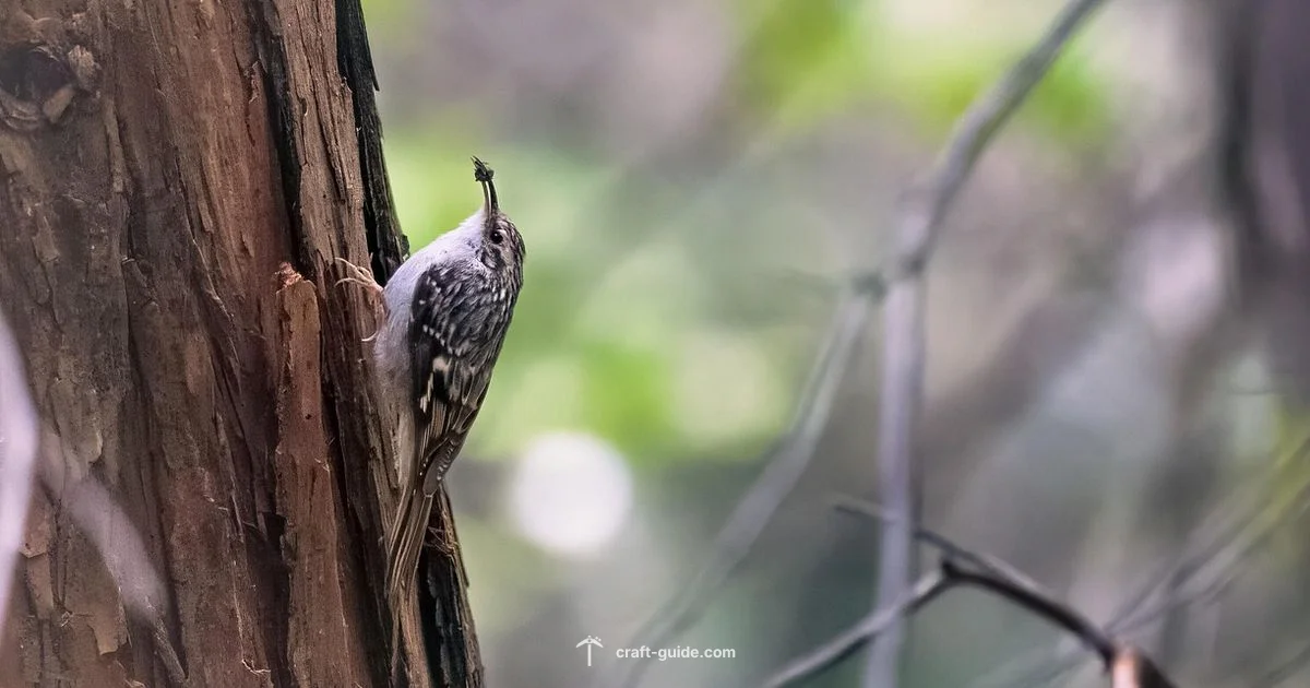 Creeper Essentials - Craft Guide