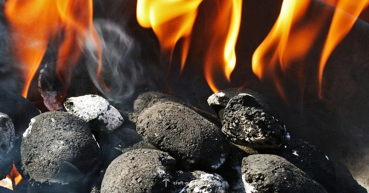 Charcoal vs Coal - Craft Guide