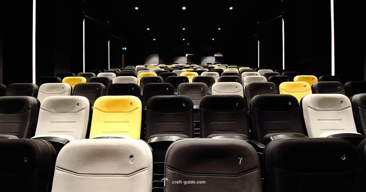 Cinema Build - Craft Guide