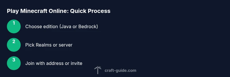Process flow for playing Minecraft online