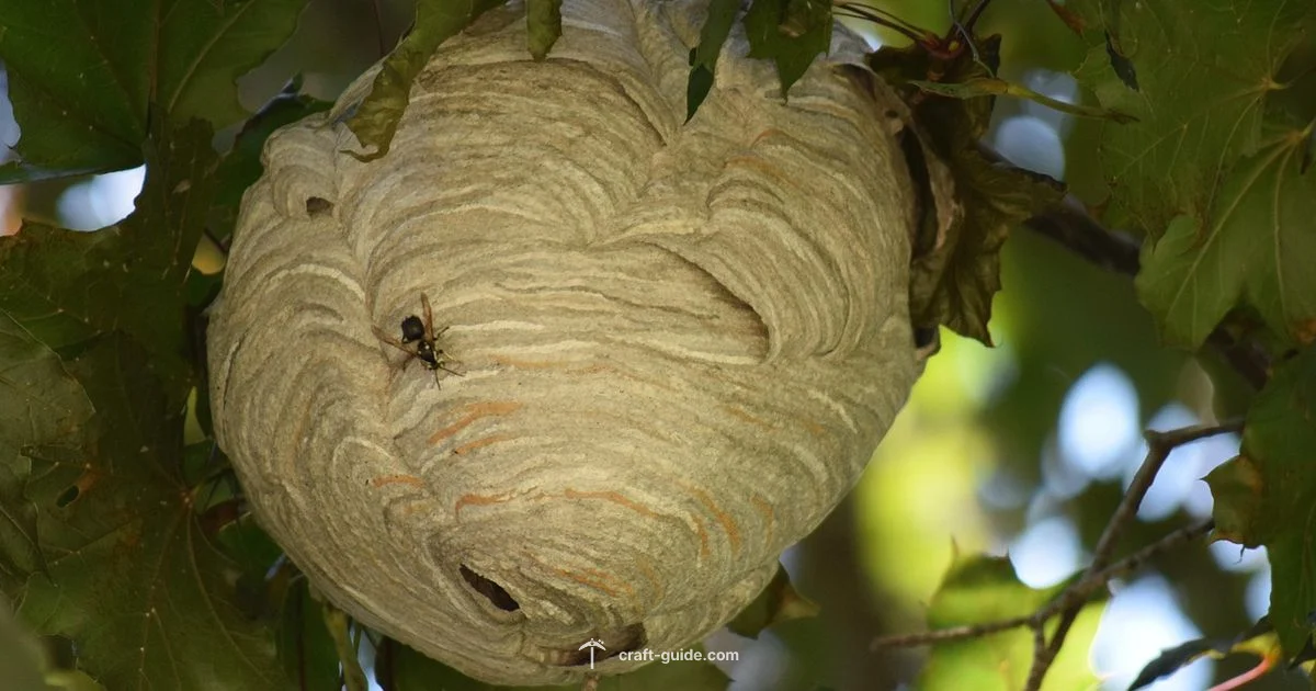 Beehive Crafting - Craft Guide