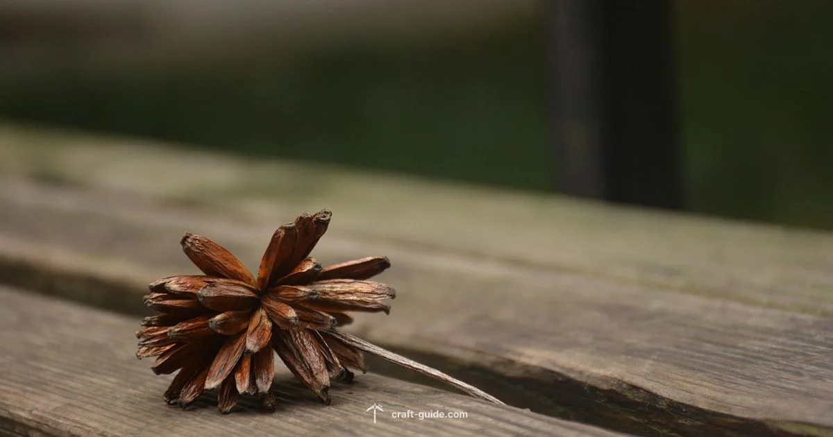 Health Leaders in Minecraft Health Leaders in Minecraft - Craft Guide