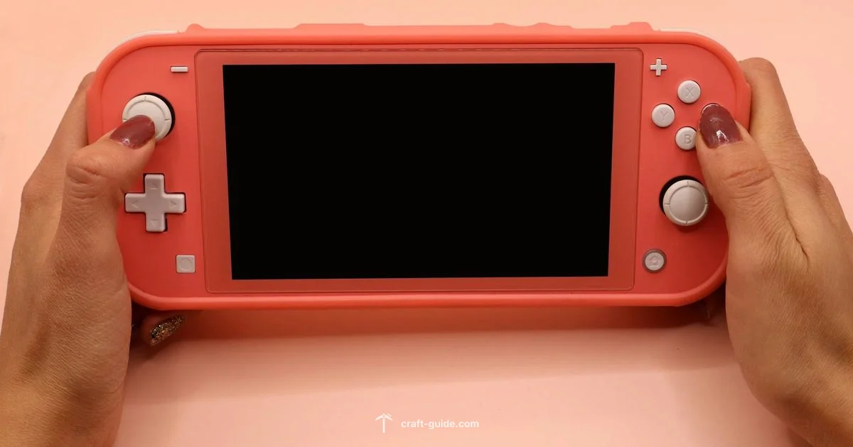 Switch Bedrock Guide - Craft Guide