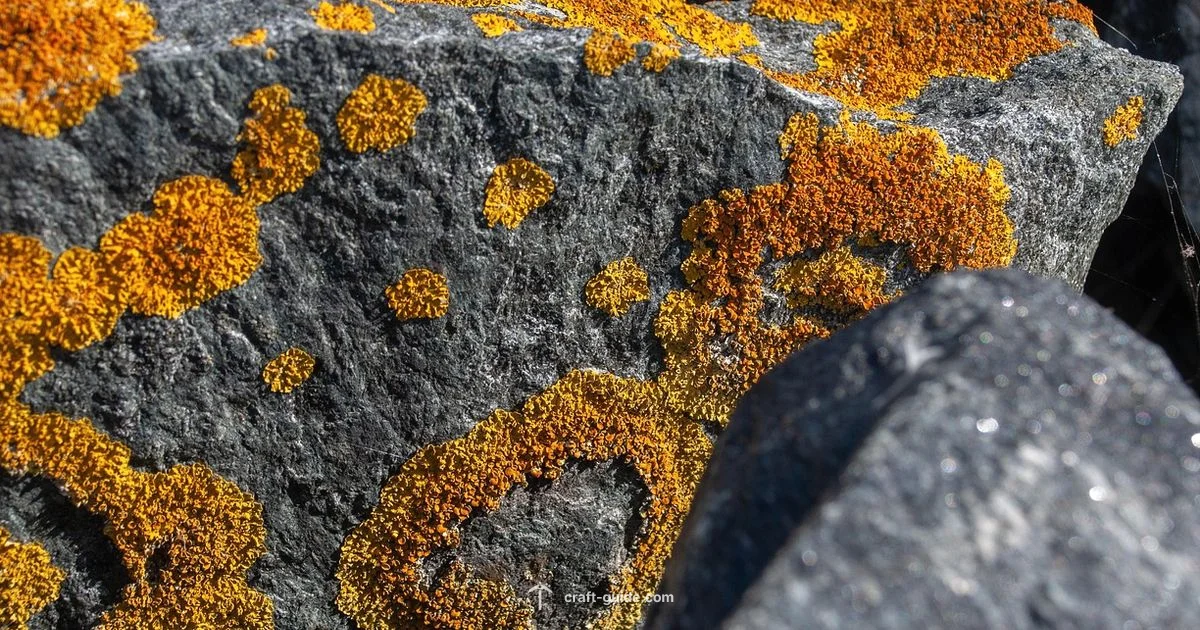 4K Texture Pack Guide - Craft Guide