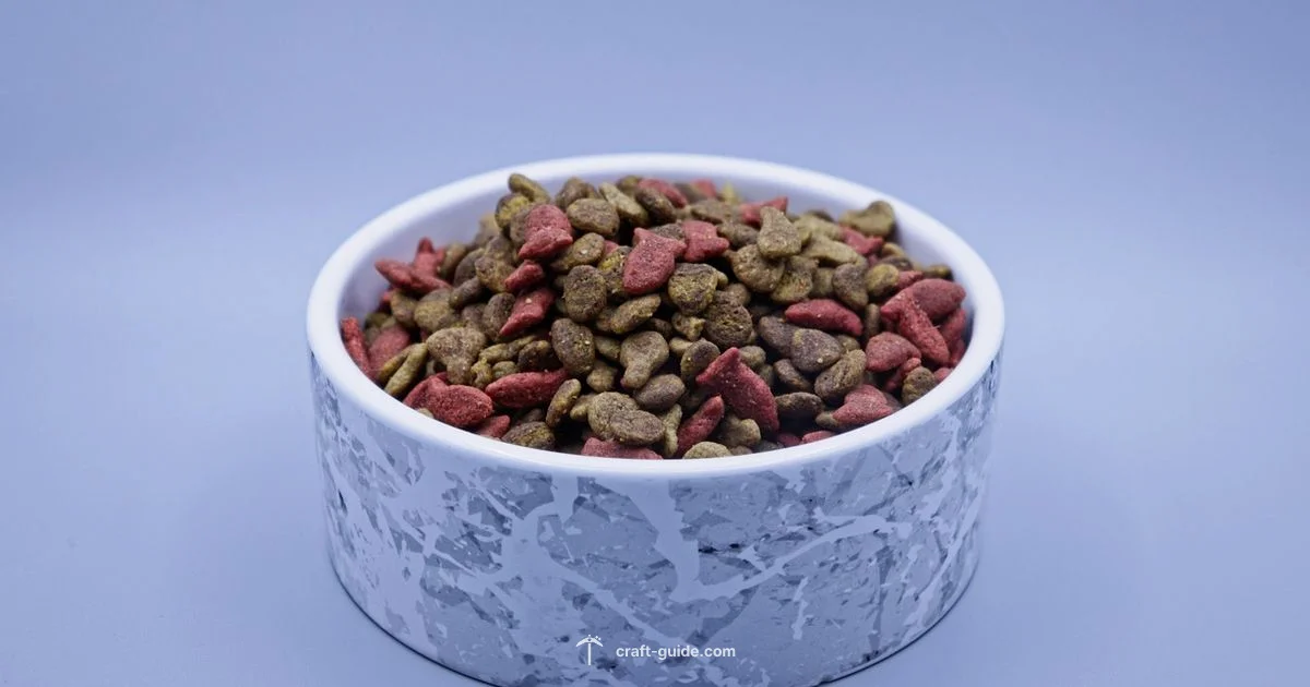 Animal Diet Guide - Craft Guide