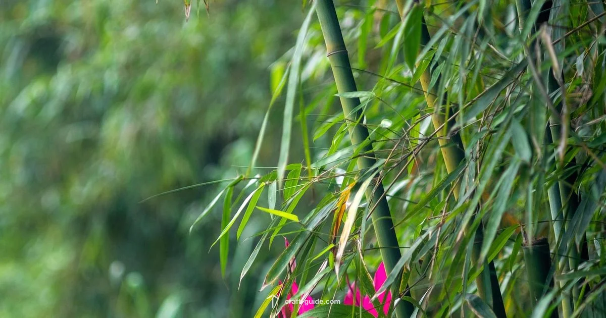 Bamboo in Minecraft - Craft Guide