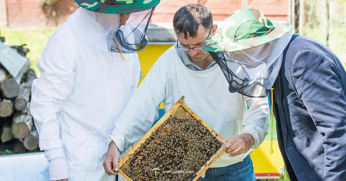 Bee Hive Guide - Craft Guide