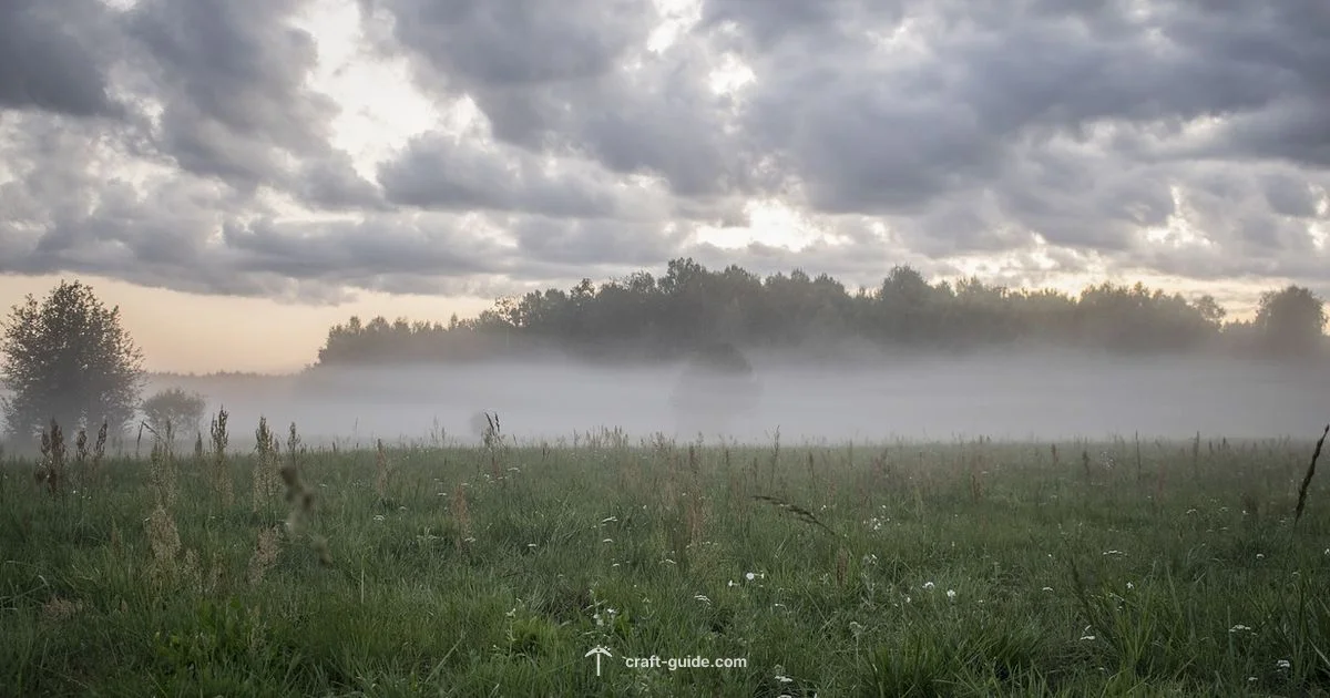 Clear Vision Guide - Craft Guide