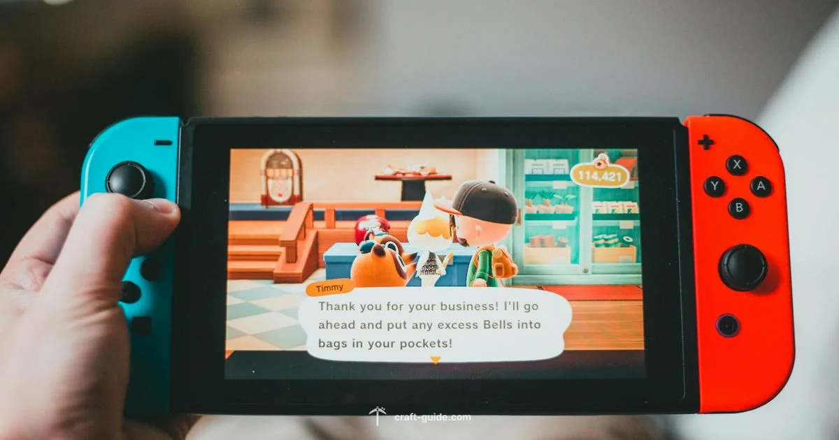 Switch Bedrock Guide - Craft Guide