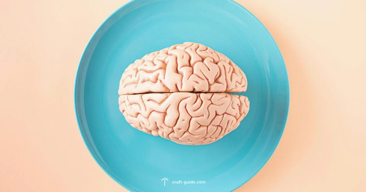 Brain and Minecraft - Craft Guide