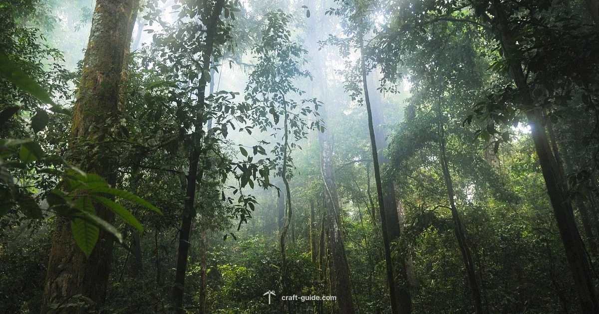 Jungle House Build - Craft Guide