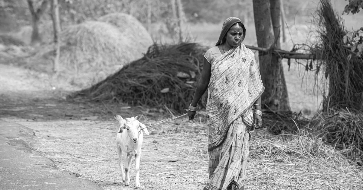 Villager Jobs Guide - Craft Guide