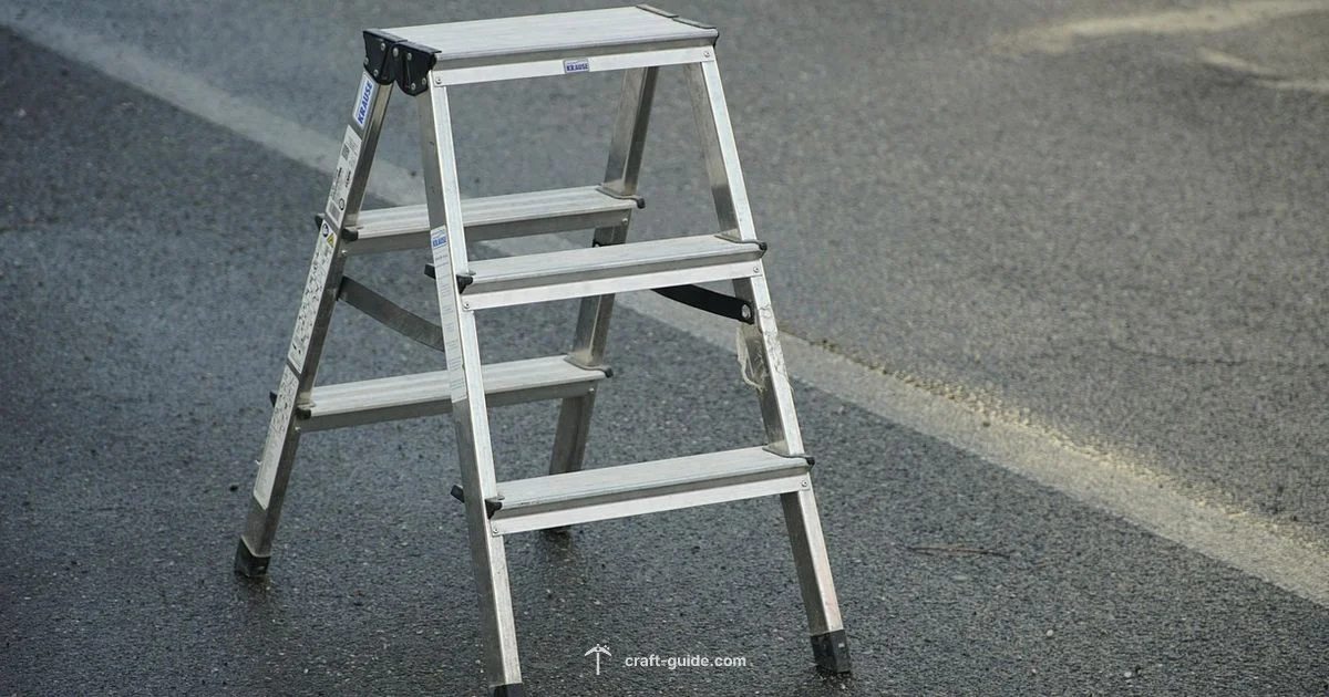 Ladder Climb - Craft Guide