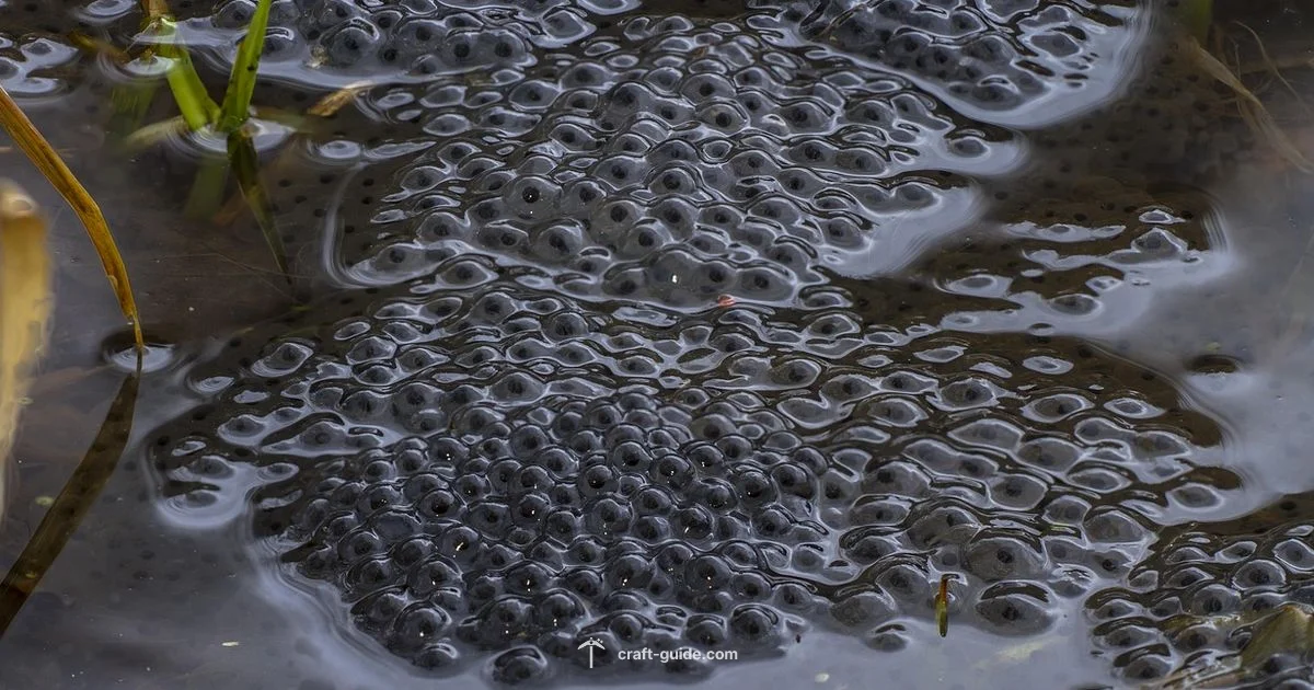 Wolf Spawn Guide - Craft Guide