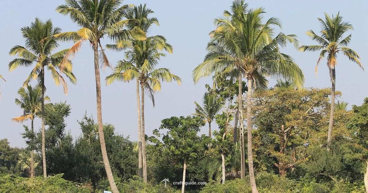 Palm Tree Build - Craft Guide