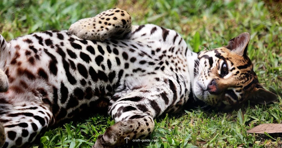 Taming Ocelots in Minecraft - Craft Guide