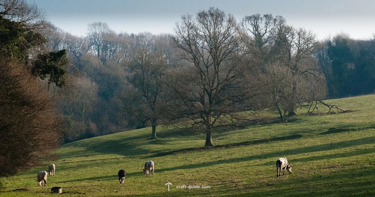 Good Seed Guide - Craft Guide