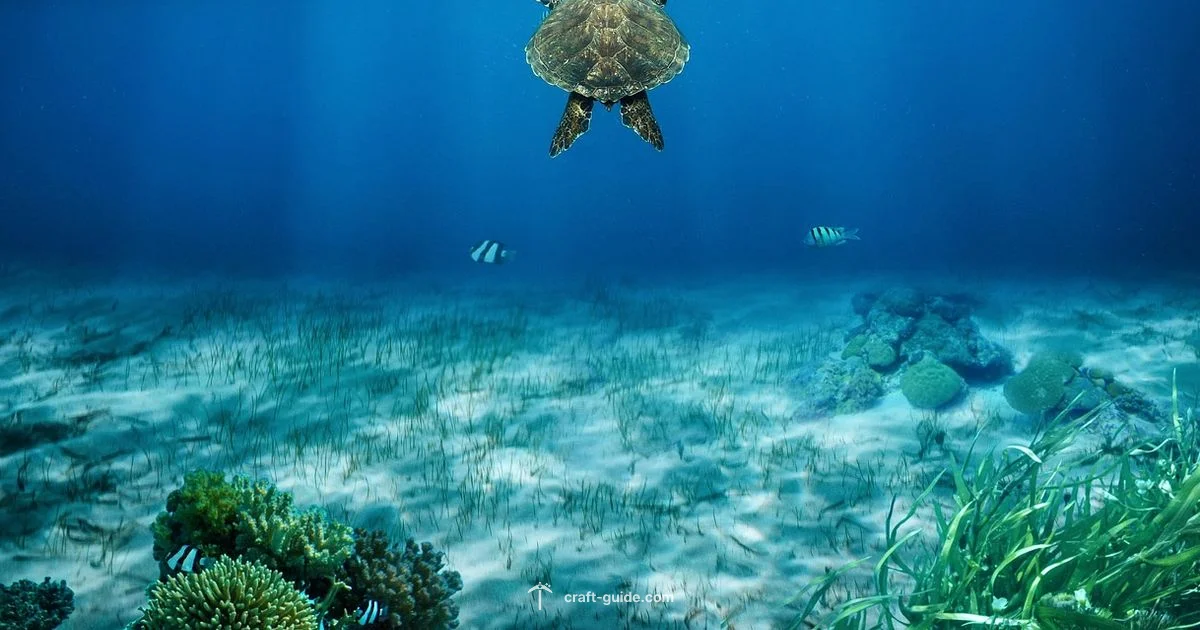 Air for Turtles - Craft Guide