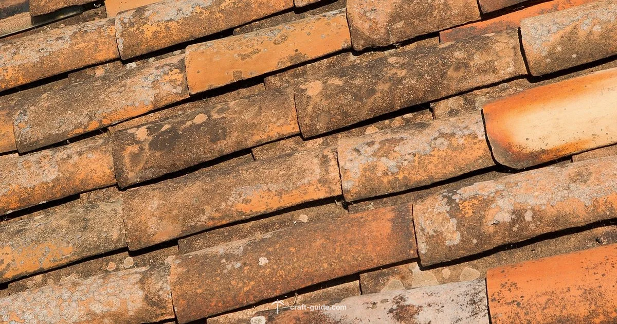 Terracotta Masterpieces - Craft Guide