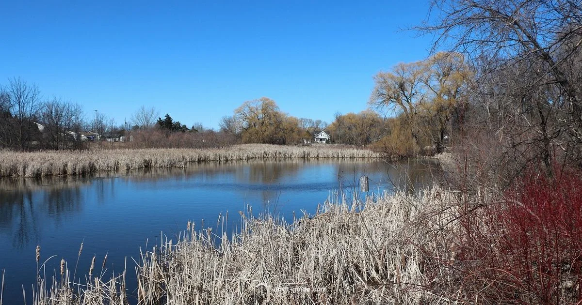 Duck in Minecraft - Craft Guide