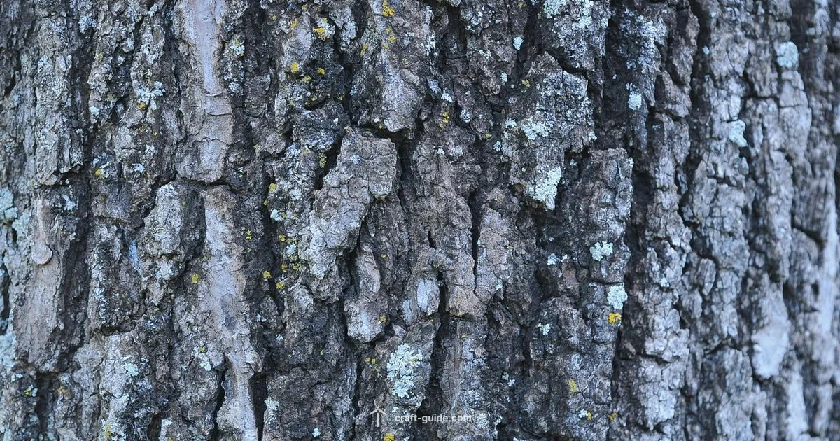 Pale Oak Builds - Craft Guide