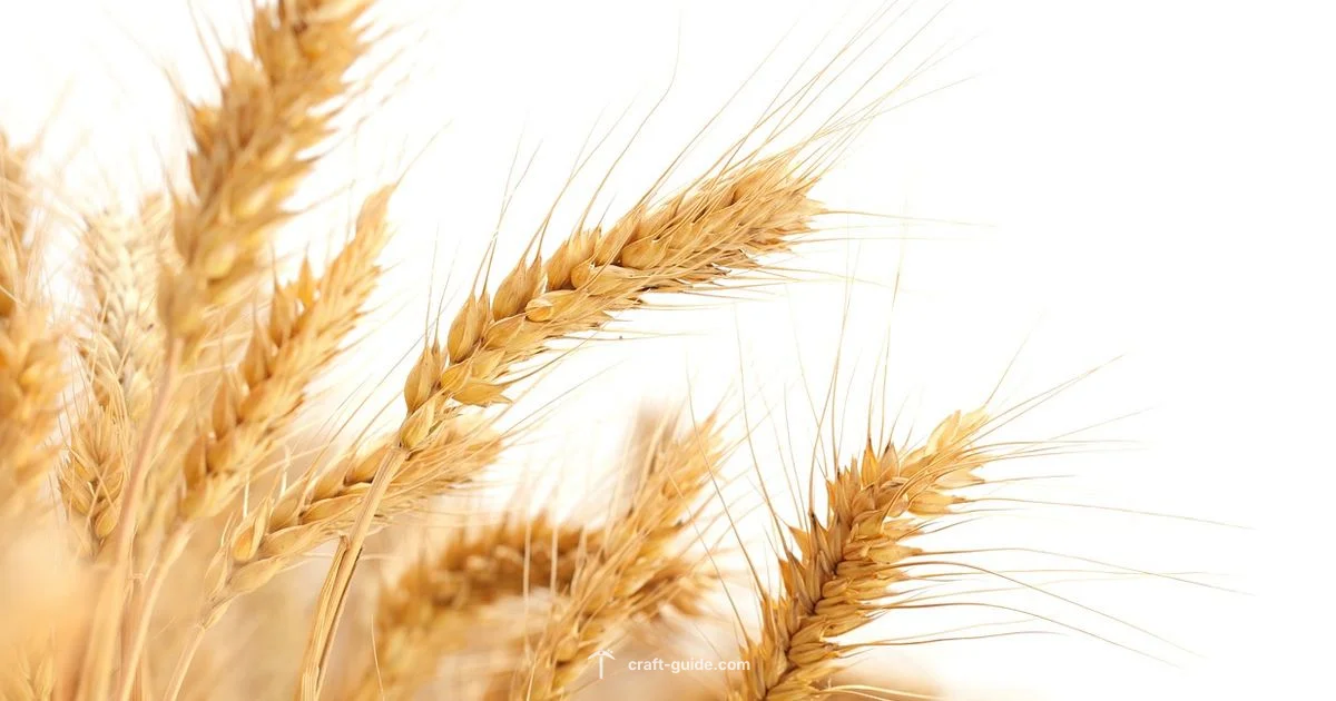 Llama Feeding Guide - Craft Guide