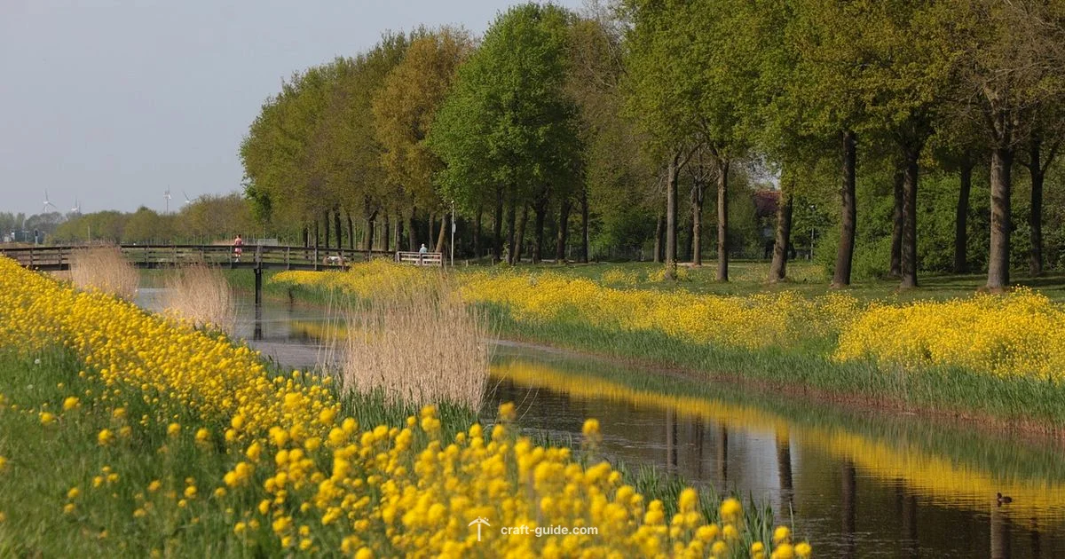 Compact Reed Farm - Craft Guide