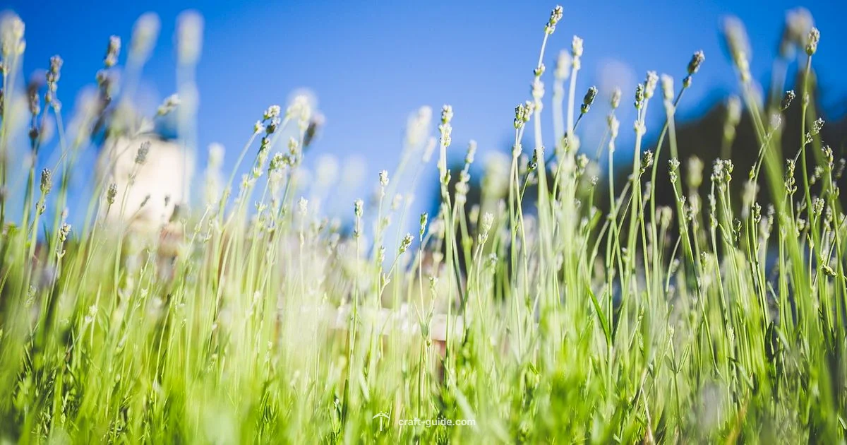 Latest Minecraft Update - Craft Guide