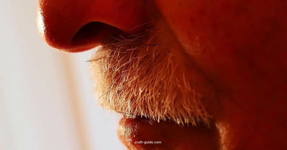 Villager Noses - Craft Guide