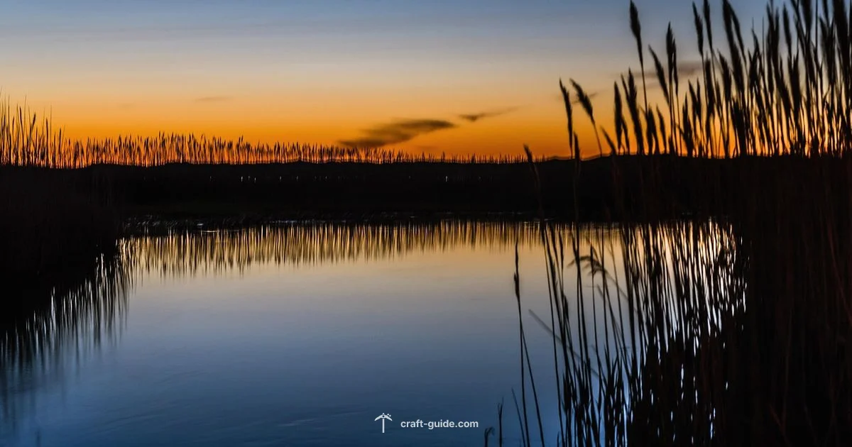 Frog Habitat Tutorial - Craft Guide