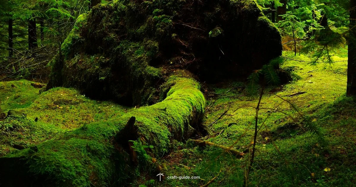 Minecraft Living Ecosystems - Craft Guide